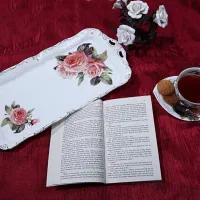 ظرف پذیرایی دپوژ ایتالیا