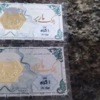 سکه پارسیان یک گرمی