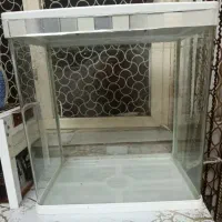 اکواریوم