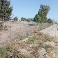 استخدام نیروی کار