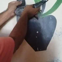 کبوتر پلاکی جوجه زریی درجه یک