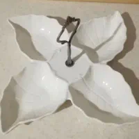 ظرف تقسیم چینی نونو