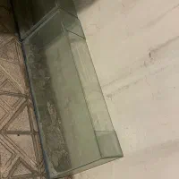 اکواریوم