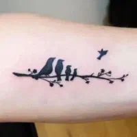 ارایشی