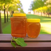 عسل درجه یک لرستان
