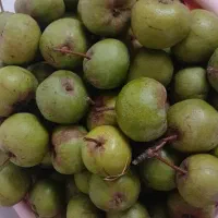 خوج کیلویی ۵۰