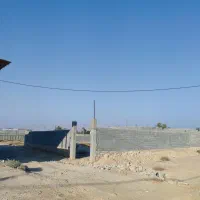 زمین بنه گز فروشی