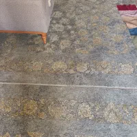 فرش نو|فرش|خمینی‌شهر, |دیوار