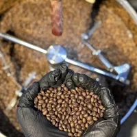 قهوه قهوه عمده روبستا پخش قهوه عمده