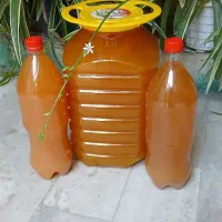 سرکه سیب خونگی و ارگانیک 100٪