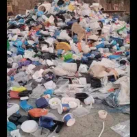 زمزم مشما  کارتن   کاغذ المینیوم در مازندران