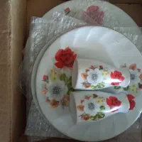 خیارخوری چینی