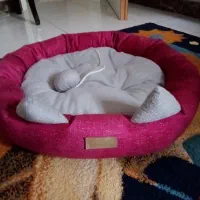 جای خواب گربه و سگ