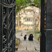 اجاره جا در قبال کار