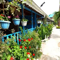 اجاره سوئیت سنتی چیکا ( گردو )