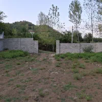 فروش ۷۵۰ متر باسند تک برگی