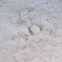 روغن پِه گوساله سفید پنیری فروشی