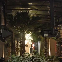 کافه رستوران صامر