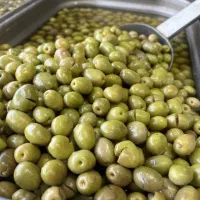 زیتون و روغن زیتون شمال