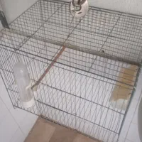 قفس پرنده طوطی قناری مرغ عشق عروس