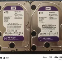 دو عدد هارد 4TB WD بنفش