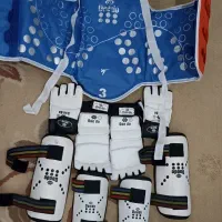 هوگو تکواندو