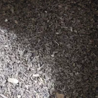 بذر خار پنبه ۱۵۰ کیلو