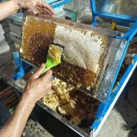 عسل آویشن طبیعی