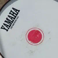 تبل 1/50 سالم سالم