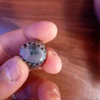 انگشتر شجر ، رکاب استیل رنگ ثابت