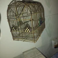 قفس پرنده کوچیک