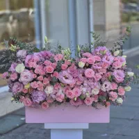 باکس باشکوه تولد کد ۱۵۴۲ گلاریس