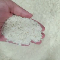 برنج هاشمی کشت دو و برنج معطر کره ای