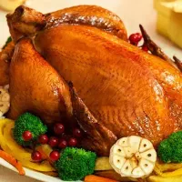 گوشت بوقلمون تازه کالابرگ