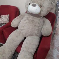خرس بزرگ خارجی