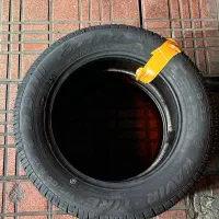 دو عدد لاستیک کاملا کویر تایر نو 15 60 195