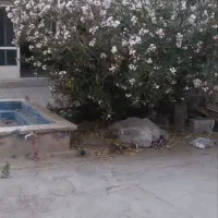 خانه کلنگی قدیمی ۴۰۰ متری قهجاورستان