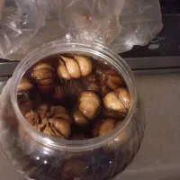 ترشی سیر ۵ ساله رسیده اورکانیک /خونگی