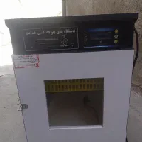 دستگاه جوجه کشی