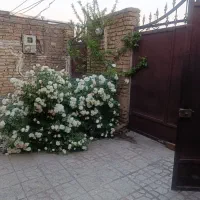 258 متر بر اصلی مخابرات /تهاتر