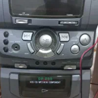 ضبط به همراه باند