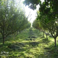 استخدام کارگر باغ