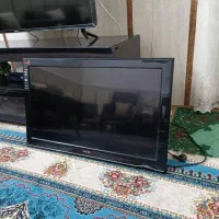 تلویزیون