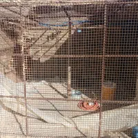 توری فنسی بزرگ محکم