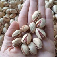 پسته صادراتی عمده مستقیم از باغدار تضمین مرجوع وجه