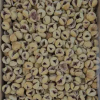فروش انواع انجیر استهبان