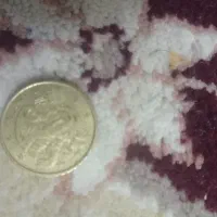 سکه|کلکسیون سکه، تمبر، اسکناس|قم, هفت تیر|دیوار