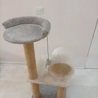 اسکرچر گربه و باکس خاک