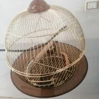 قفس پرنده گرد طلایی نو