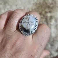 انگشتر شجر قاعن زنده رکاب زنجان